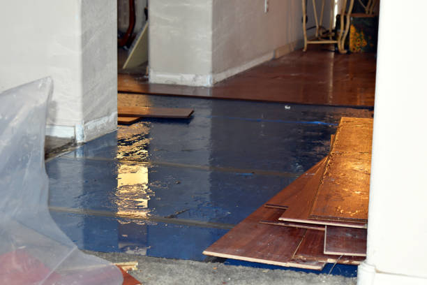 Professional Water Damage Restoration technician working in Ida, MI